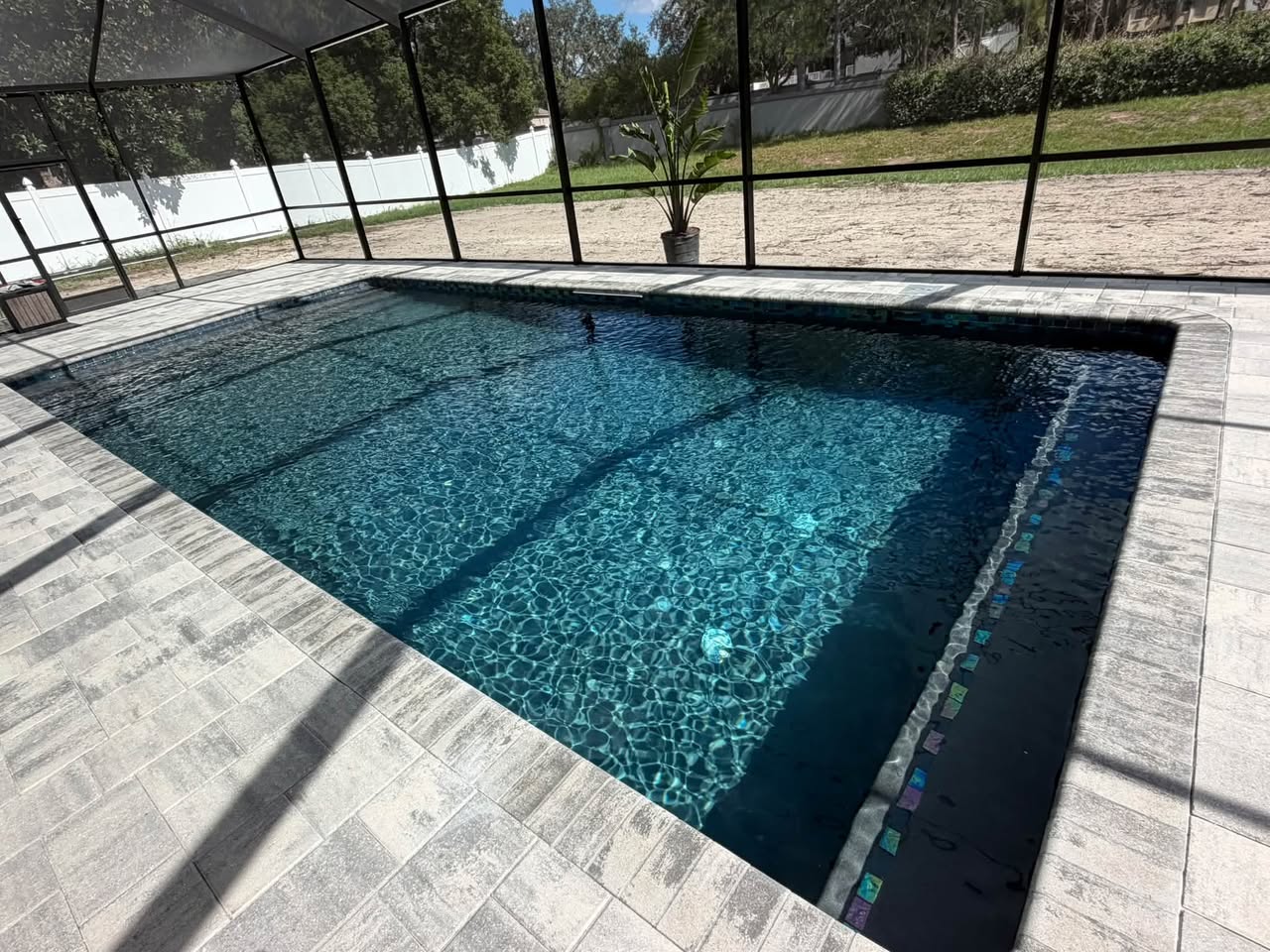 Finished French gray swimming pool inside a screened enclosure